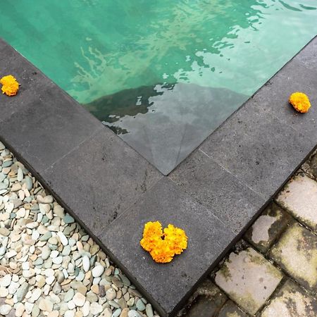 Buana Home Stay Ubud  Exterior photo
